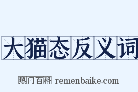 大猫态反义词是什么意思的图片
